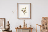 Blue Berry Branch Botanical Art | Vintage Print Farmhouse Berry Art | Neutral Botanical Art | Autumn Art | Book Page Prints | BFL289
