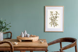 Soft Green and Grey Branch Painting | Vintage Print Farmhouse Berry Art | Neutral Botanical Art | Autumn Art | Book Page Prints | BFL290
