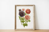 Anemones Floral Bouquet