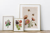 Anemones Floral Bouquet