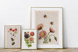 Anemones Floral Bouquet