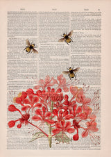 Bees with Geranium flowers