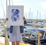 Blue Jelly fish Discomedusae Poster