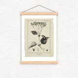 Botanical Print Set of 6, Vintage Farmhouse Gallery Wall Decor, Botanical Floral Art, French Gray Beige Wildflowers Art, Modern rustic Art