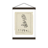 Botanical Print Set of 6, Vintage Farmhouse Gallery Wall Decor, Botanical Floral Art, French Gray Beige Wildflowers Art, Modern rustic Art