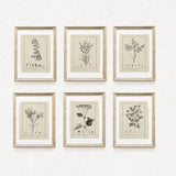 Botanical Print Set of 6, Vintage Farmhouse Gallery Wall Decor, Botanical Floral Art, French Gray Beige Wildflowers Art, Modern rustic Art