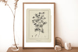 Botanical Print Set of 6, Vintage Farmhouse Gallery Wall Decor, Botanical Floral Art, French Gray Beige Wildflowers Art, Modern rustic Art