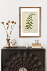 Botanical Ferns Print Set of 6, Vintage Farmhouse Gallery Wall Decor, Set Of 6 Botanical Fern Prints Gallery, Modern rustic Art