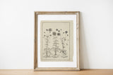 Mothers Day Gift - Botanical Print Set of 6, Vintage Farmhouse Gallery Wall Decor, Botanical Floral Art, French Gray Beige Flowers Art