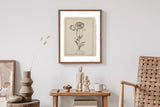 Mothers Day Gift - Botanical Print Set of 6, Vintage Farmhouse Gallery Wall Decor, Botanical Floral Art, French Gray Beige Flowers Art
