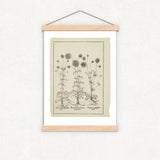 Mothers Day Gift - Botanical Print Set of 6, Vintage Farmhouse Gallery Wall Decor, Botanical Floral Art, French Gray Beige Flowers Art