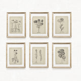 Mothers Day Gift - Botanical Print Set of 6, Vintage Farmhouse Gallery Wall Decor, Botanical Floral Art, French Gray Beige Flowers Art