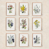 Lobelia wall art - Eco friendly gifts - Blue flowers Bouquet - Floral Art Print