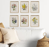 Lobelia wall art - Eco friendly gifts - Blue flowers Bouquet - Floral Art Print