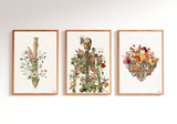 Flowery Pelvis and Coccyx Art - Flower Anatomy Print - Human anatomy - Chiropractor Art - Wall Art - Anatomical Art Print