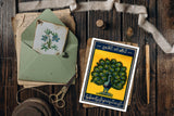 Indian Iconic Matches Boxes,  Postcards set, Vintage style printing, Tricolor printing style, Matches Box Art Prints, Postcard set of six