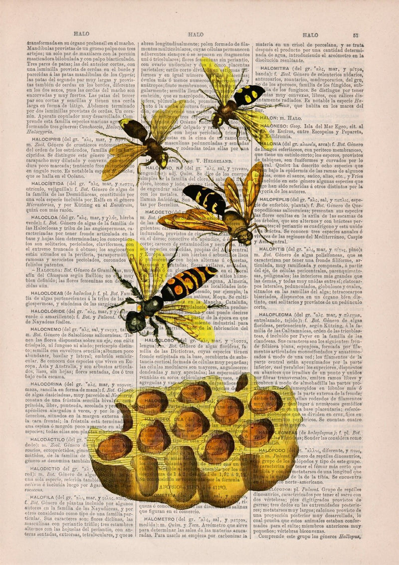 Bees and honey