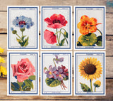 Flowers seeds vintage signs- Greeting card - Botanical vintage - Set of 6 - Floral Greeting Cards - French flower Cards - PSC033