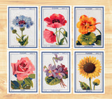 Flowers seeds vintage signs- Greeting card - Botanical vintage - Set of 6 - Floral Greeting Cards - French flower Cards - PSC033
