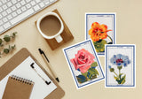 Flowers seeds vintage signs- Greeting card - Botanical vintage - Set of 6 - Floral Greeting Cards - French flower Cards - PSC033