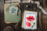 Flowers seeds vintage signs- Greeting card - Botanical vintage - Set of 6 - Floral Greeting Cards - French flower Cards - PSC033