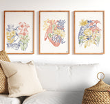 Wall decor Anatomical Art Poster - Set of 3 - Flower Anatomy - Botanical Anatomy Print - Medical Art Print - home decor - SET033