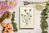 Notecards Set - Thank You Cards - Greeting Cards - Simple Note Cards - Set of 6 - Blank Note Cards - NTC023