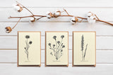 Notecards Set - Thank You Cards - Greeting Cards - Simple Note Cards - Set of 6 - Blank Note Cards - NTC023