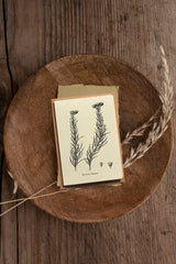 Notecards Set - Thank You Cards - Greeting Cards - Simple Note Cards - Set of 6 - Blank Note Cards - NTC023