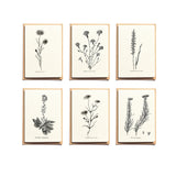 Notecards Set - Thank You Cards - Greeting Cards - Simple Note Cards - Set of 6 - Blank Note Cards - NTC023