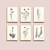 Notecards Set - Thank You Cards - Greeting Cards - Simple Note Cards - Set of 6 - Blank Note Cards - NTC023