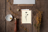 Notecards Set - Thank You Cards - Greeting Cards - Simple Note Cards - Set of 6 - Blank Note Cards - NTC023