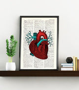 Human Heart Anatomy study art