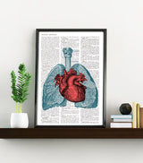 Heart and Lungs Anatomy Print