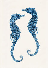 Blue sea horses couple