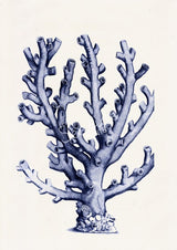 Coral in blue n09 sea life print