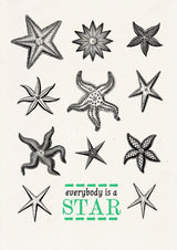 Everybody is a star - Starfish Wall decor