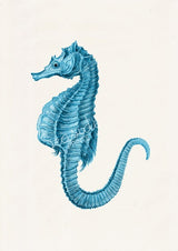 Blue seahorse n02 Seaside wall art