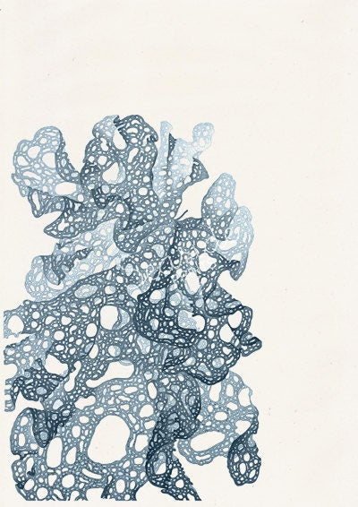 Blue sea kelp no.02 - sea life print