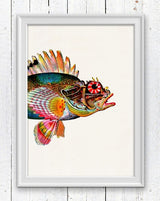 Sea Fish Monkfish sea life print