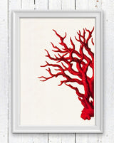Wonderful half Red coral