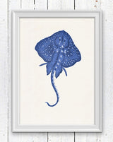 Blue stingray 2