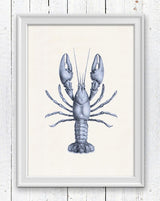 Blue Lobster sea life print