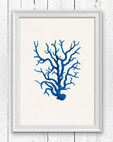 Blue coral - sea life print