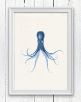 Blue octopus nº29  sea life art