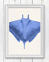 Blue stingray sea life print