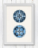 Jellyfish from the bottom Discomedusae in blue
