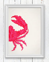 Fuchsia crab sea life print