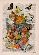Anatomy Flower head