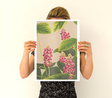 CurcumaOriental Flowers Poster